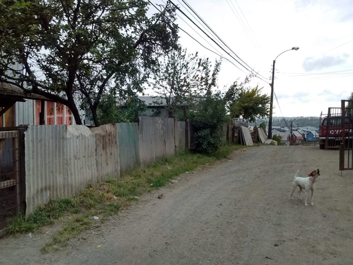 Imagen 4