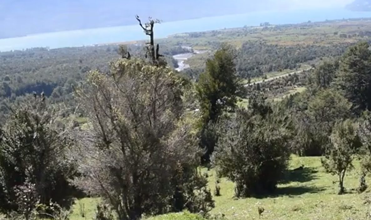 Imagen 5