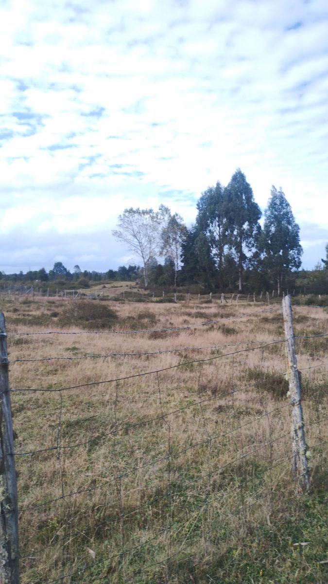 Imagen 9