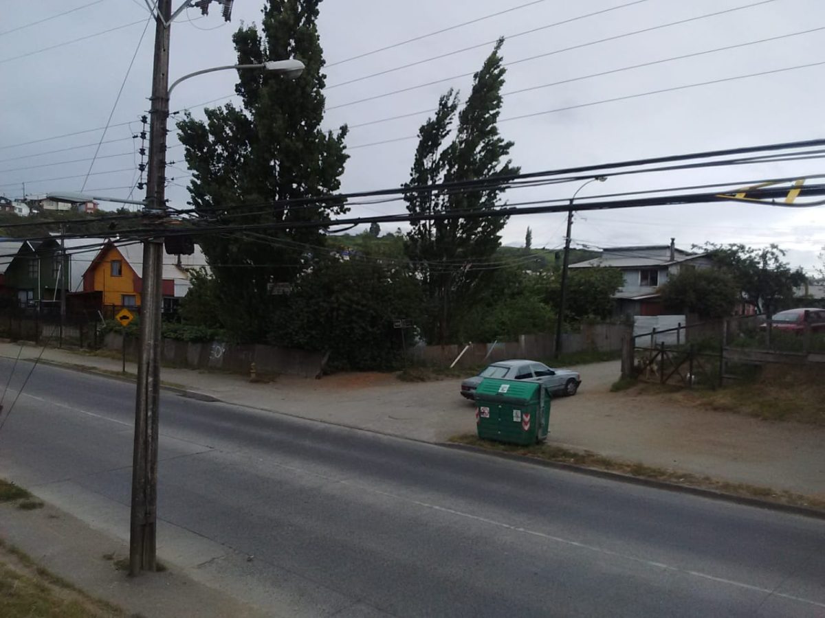 Imagen 6