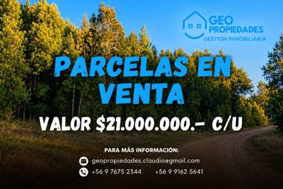 VENDEMOS 3 PARCELAS EN LOS MUERMOS